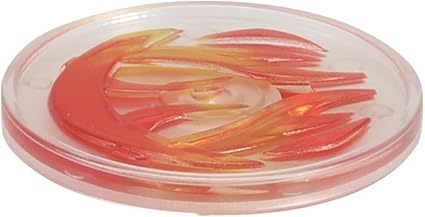 VTech Switch and Go Dinos Talon the Pterodactyl, Juguete de Dinosaurio Interactivo con Luces y Efectos de Sonido, Transforma Dino en Supercoche, para niños 3, 4, 5, 6 Plus, versión en inglés