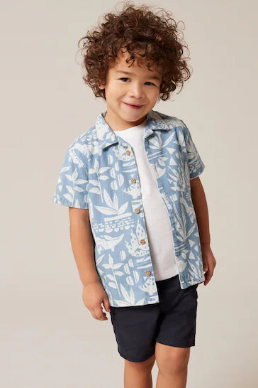 |Boy| Camisa Manga Curta Estampada - Dino Azul (3 Meses - 7 Anos)