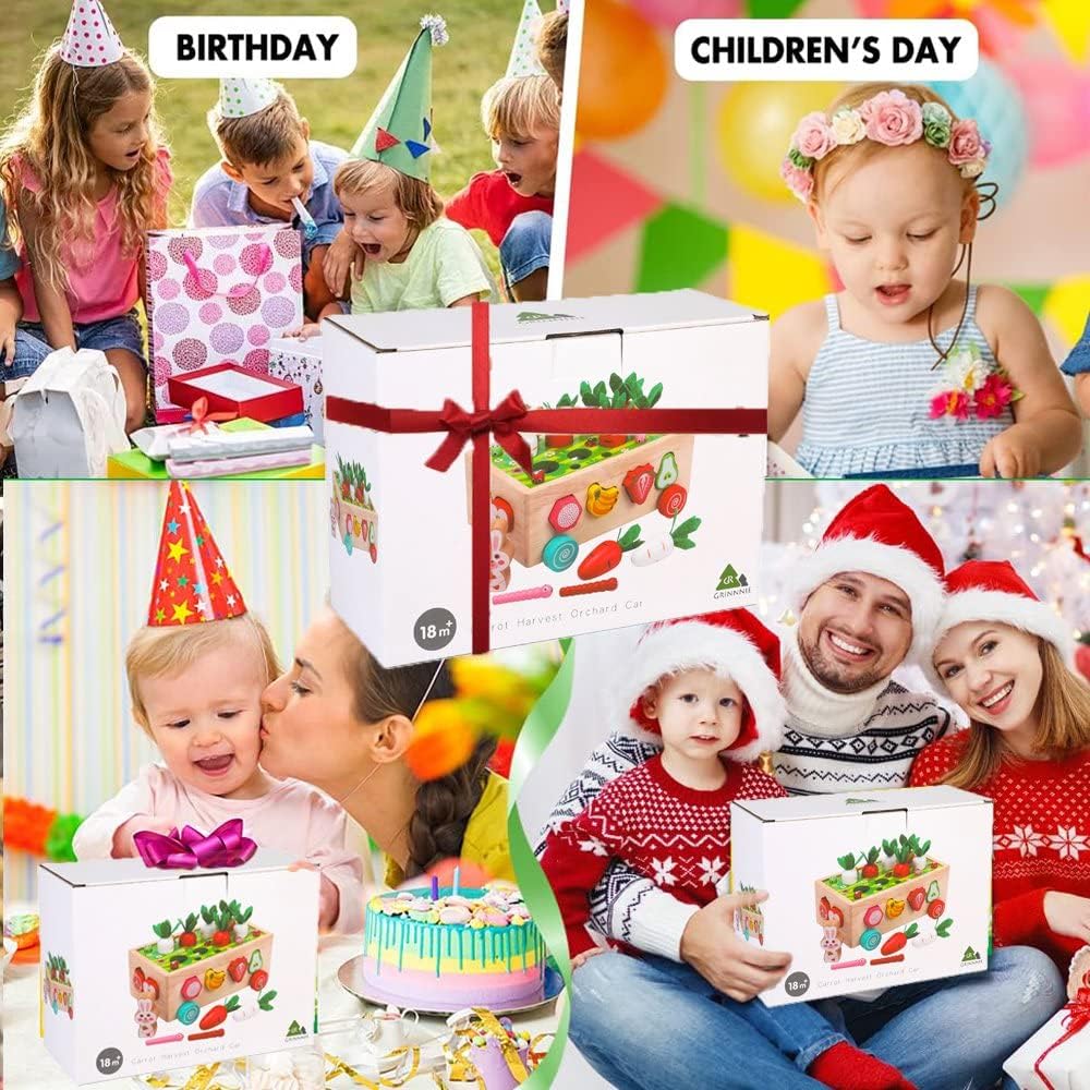 ANTIC DUCK Brinquedos de madeira montessori, brinquedos de classificação de formatos, presentes para bebês, meninos, meninas, 2, 3, 4 anos de idade