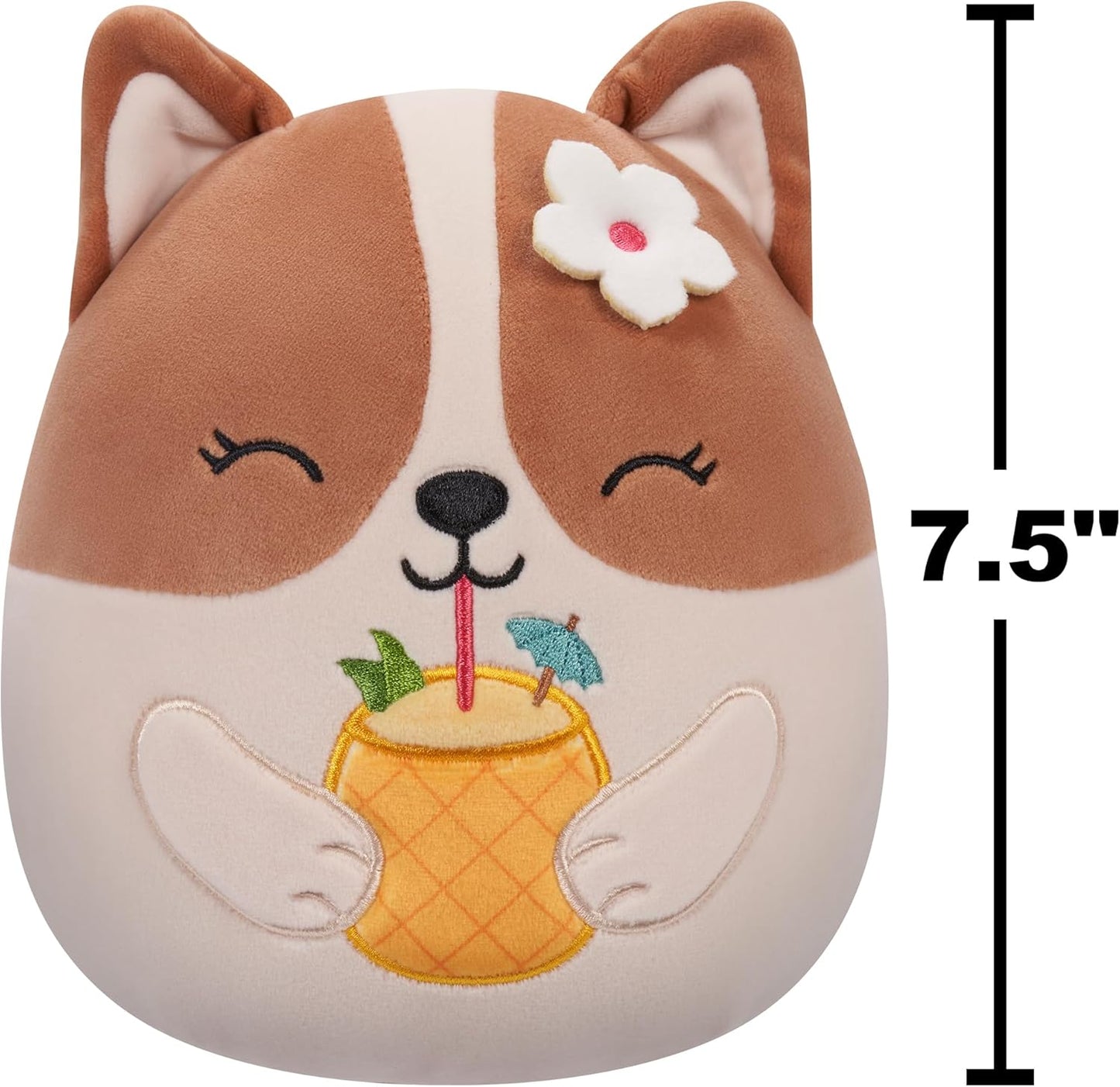 Squishmallows Original 7,5 Polegadas - Regina the Brown and White Corgi com Bebida de Abacaxi e Flor