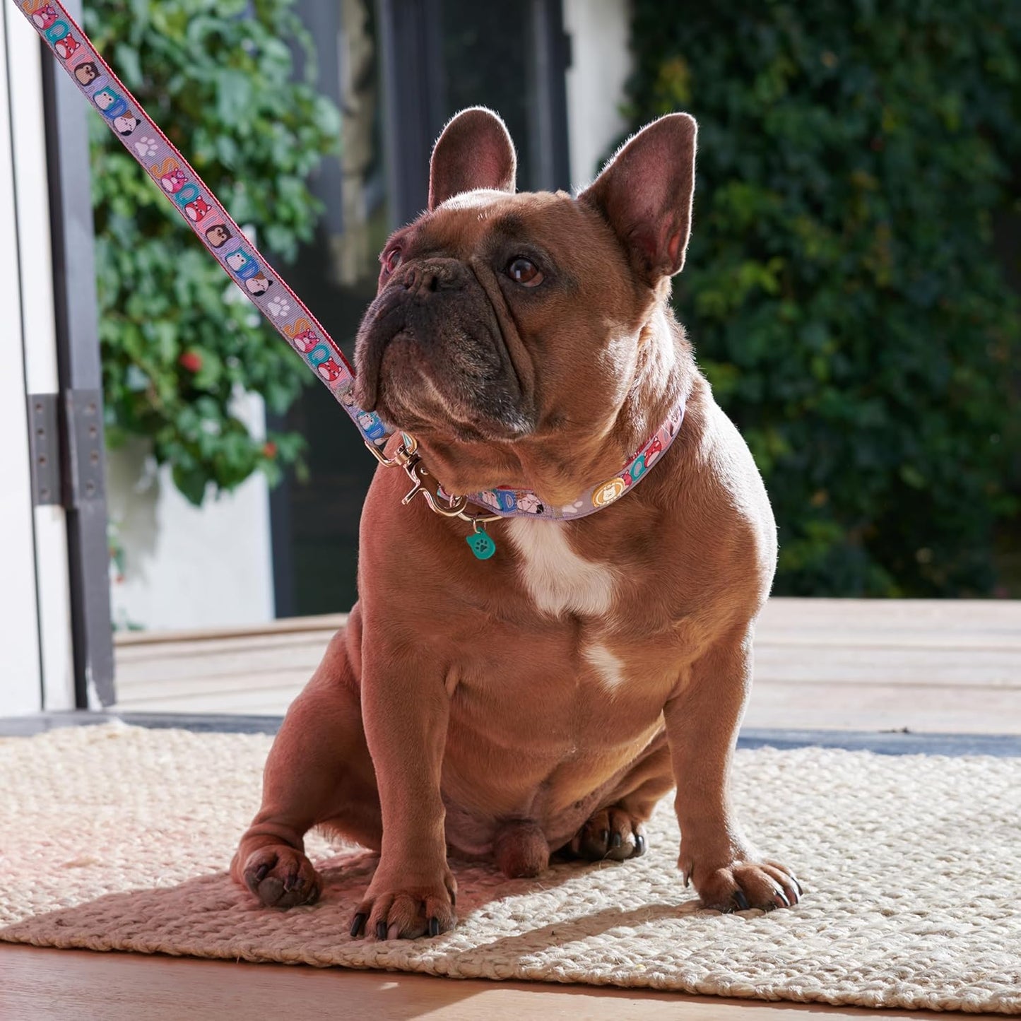 Squishmallows Original Squish Squad Coleira/Trela para animais de estimação – Roupa oficial para animais de estimação da Jazwares