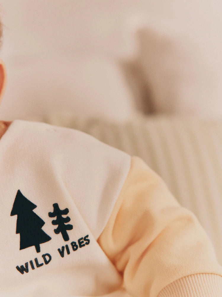 |BabyBoy| Conjunto De Moletom e Calça De Veludo Mineral Scene Baby (0 meses a 2 anos)