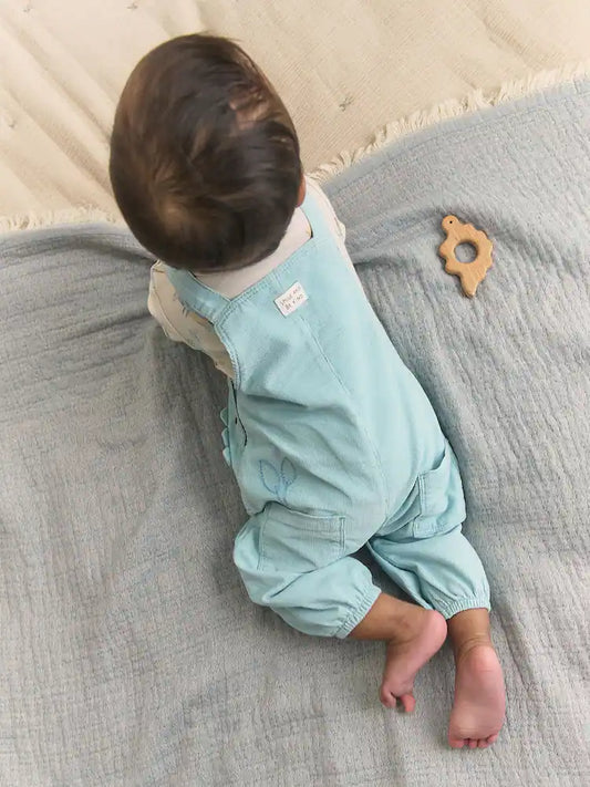|BabyBoy| Conjunto De Bebê: Jardineira de Veludo Cotelê com Estampa de Dinossauro Azul e Body (0 meses a 3 anos)