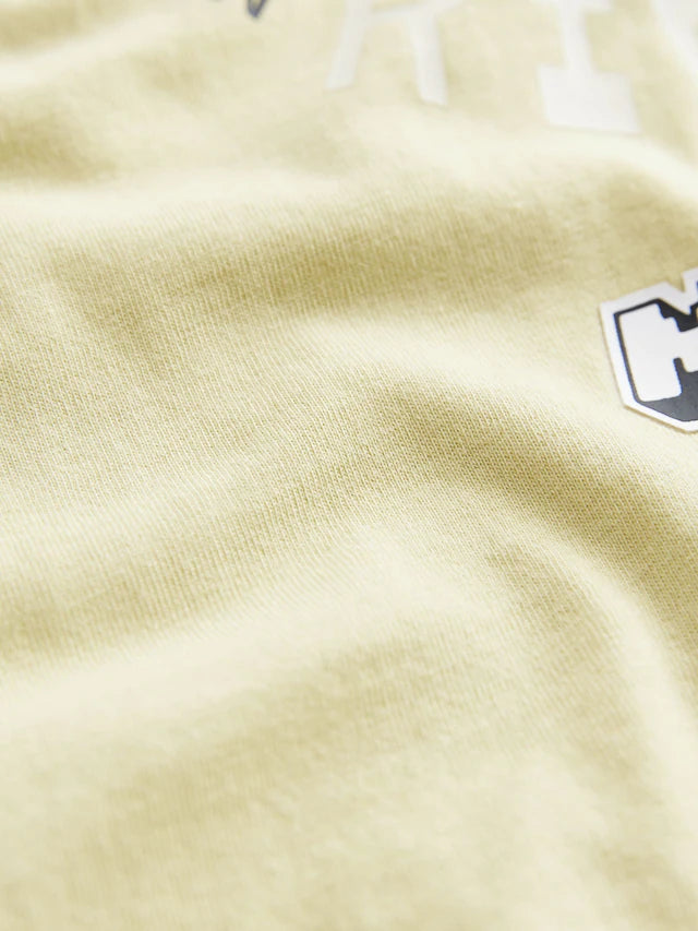 |BigBoy| Camiseta Licenciada Do Minecraft Da Chartreuse (3-16 anos)