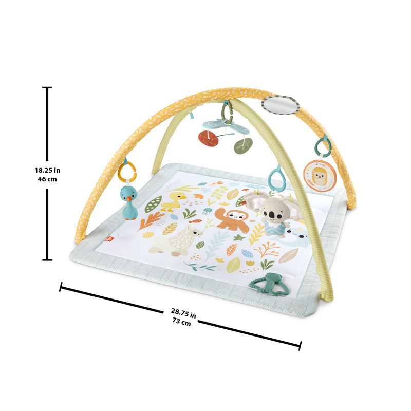 Gimnasio para recién nacidos Simply Senses™ de Fisher-Price