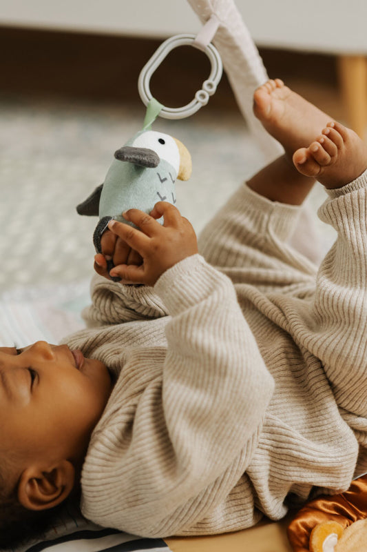 Nuby O ginásio de atividades Animal Adventures estimula as habilidades motoras finas do bebê.