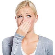 Tommee Tippee Sangenic Lixeira Elimina Odores e Germes Bestseller Anne Claire Baby Store Ltd.