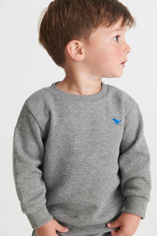 |Boy| Conjunto Moletom Cinza (3meses-7anos)