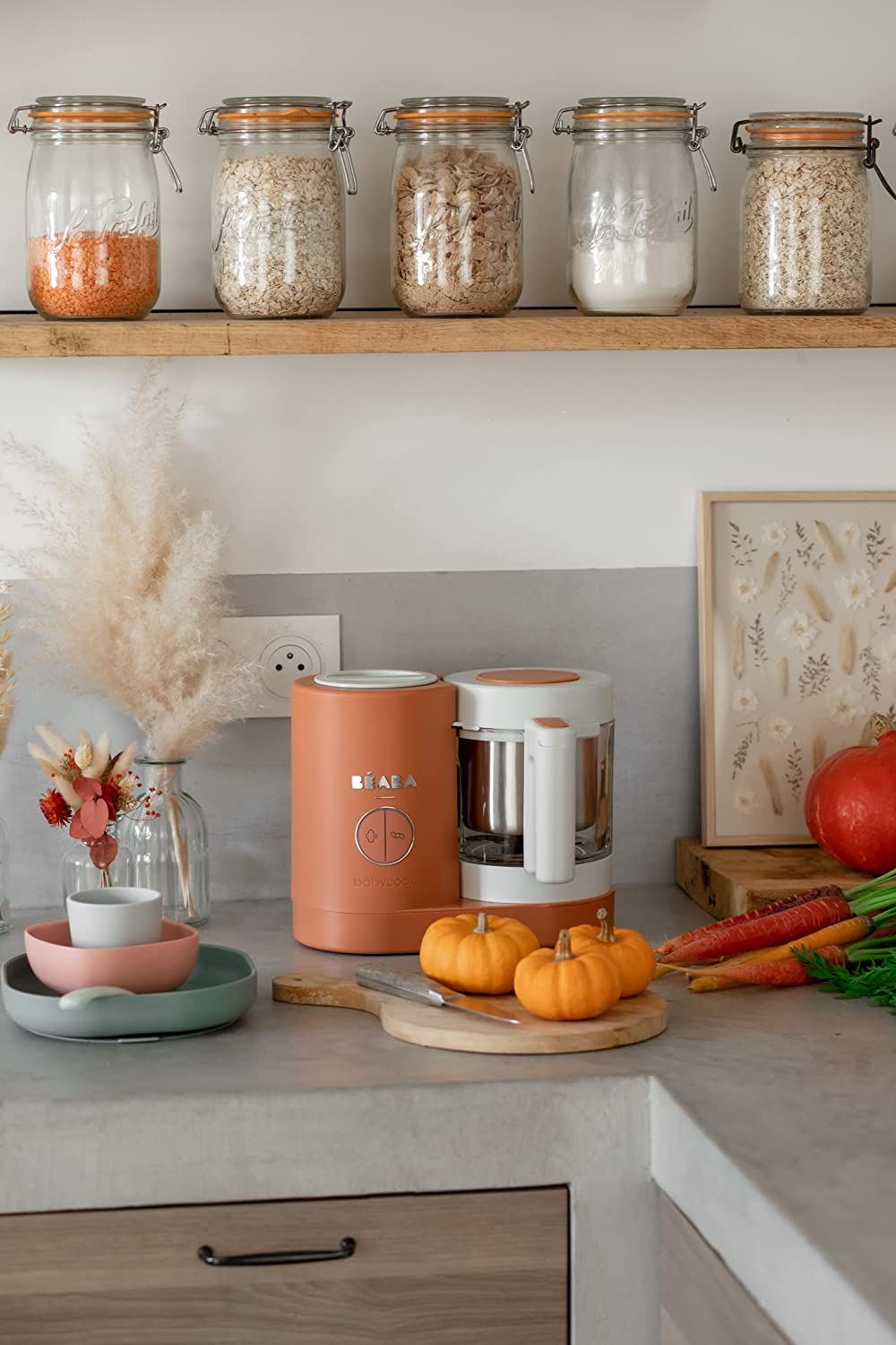 Béaba Babycook Neo Processador de Alimentos Cozimento a vapor suave Terracota