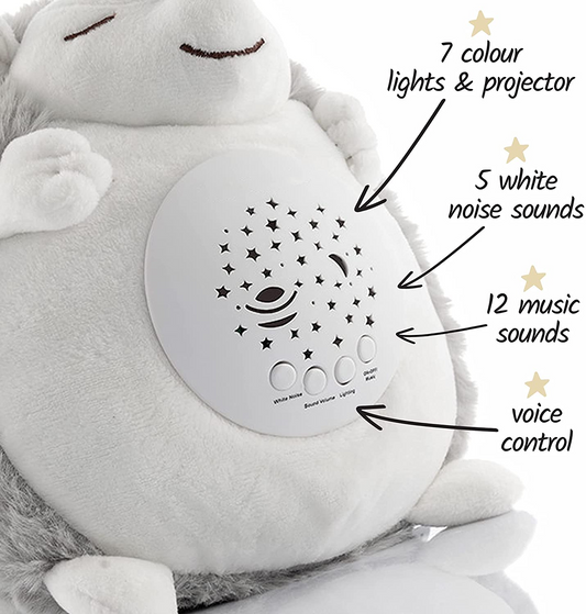 Baby Sleep Aid (empresa del Reino Unido) Regalos para dormir para recién nacidos, chupete gris