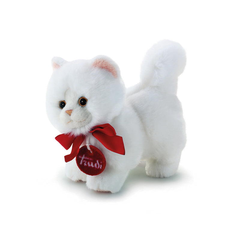 Flair - Trudi Trudini Persian Cat