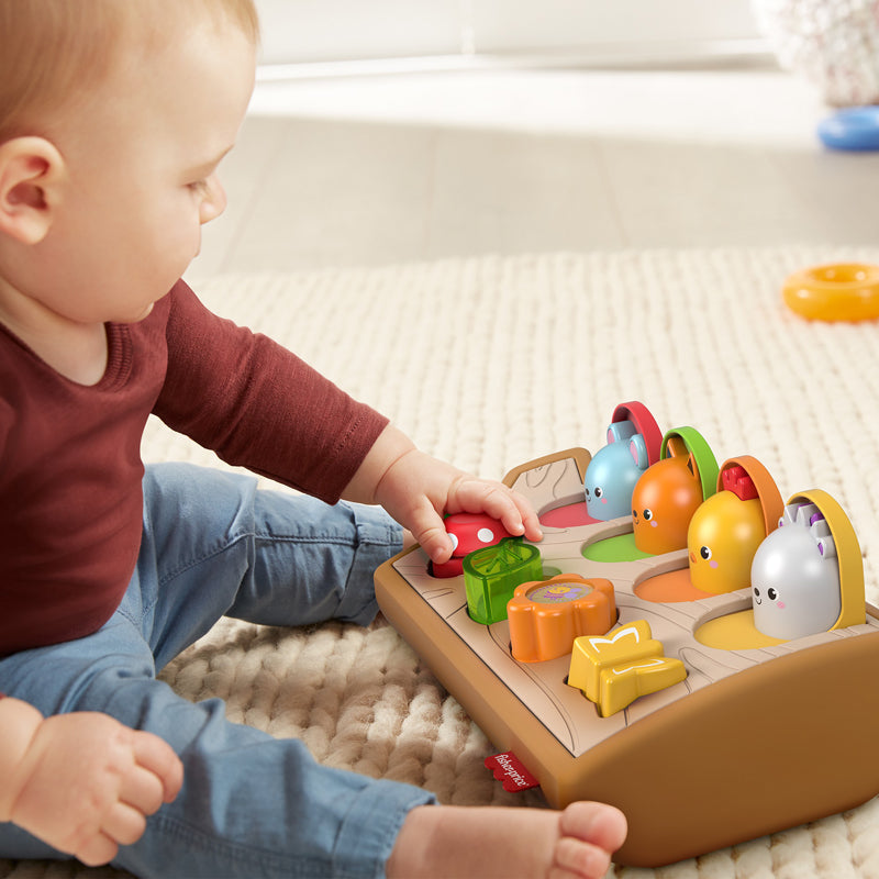 Fisher-Price - Kit de Brinquedos Pop-up Ecológico