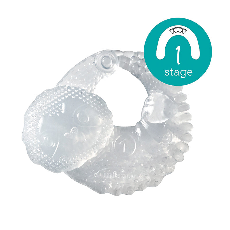 Infantino - Conjunto de mordedor de 3 estágios