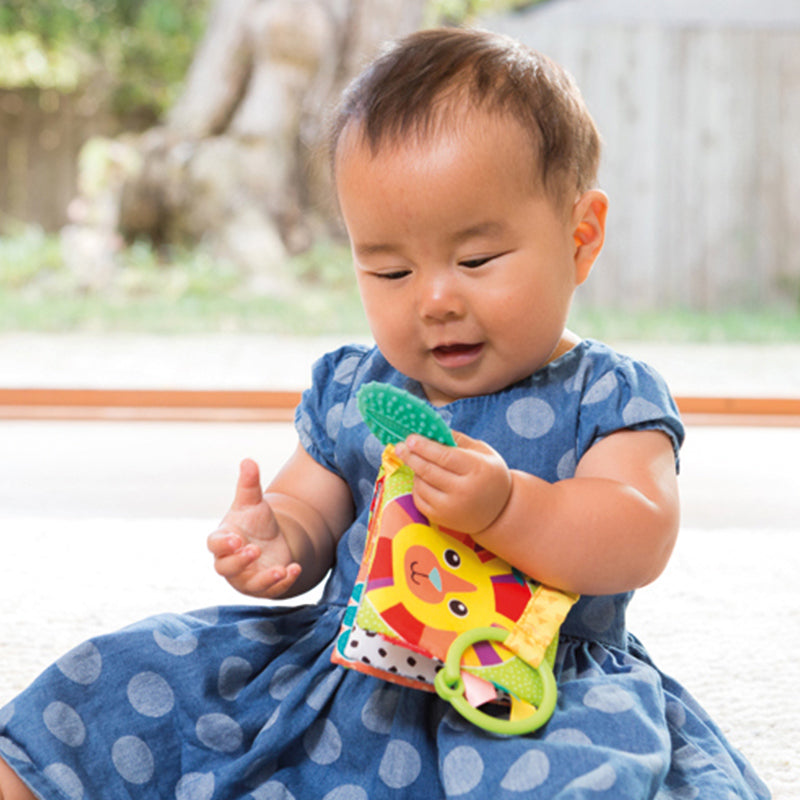 Infantino Link and Squeak Livro de Tecidos Animais