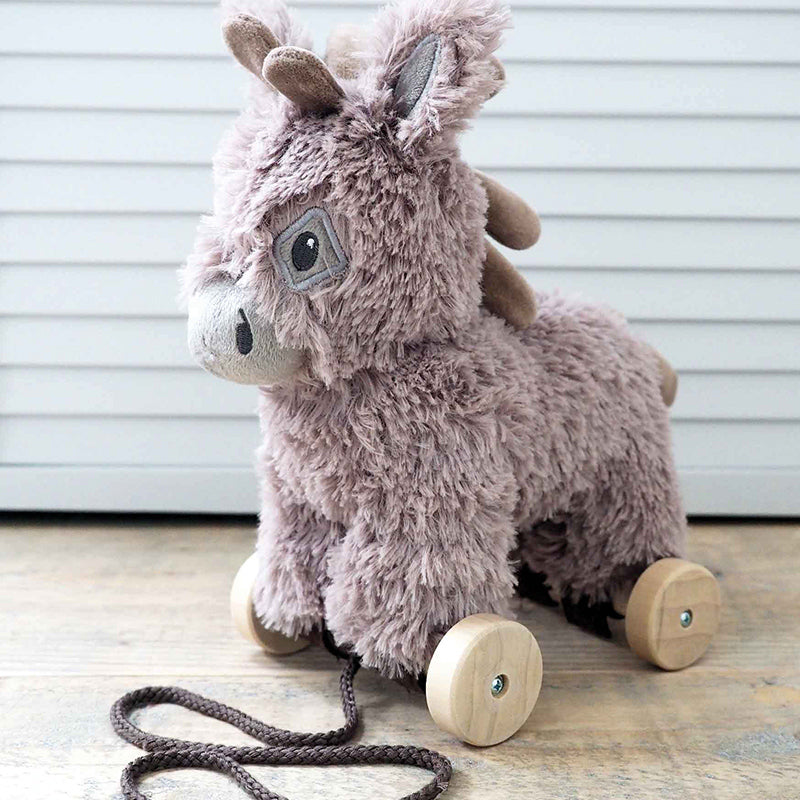 Little Bird Told Me Pull Along Norbert