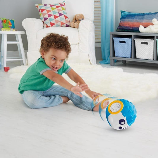Fisher-Price - Divirta-se e Aprenda com a Bola Porco Espinho Brinquedo Anne Claire Baby Store