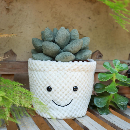 Brinquedo de peluche de planta suculenta macia de cordeiro damasco, vaso verde de peluche, peluche kawaii para crianças, 8"