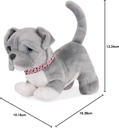 A Nossa Geração - BD35193Z - Pitbull Dog