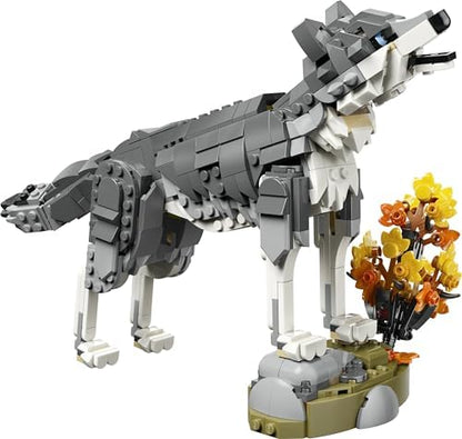 LEGO Creator 3 em 1 Animais da Floresta: Lobo Cinzento de Brinquedo - Figura de Animal que se Transforma em Falcão ou Guaxinim - Ideia de Decoração DIY para o Quarto - Presente de Aniversário para Meninas e Meninos a partir de 8 Anos - 31393