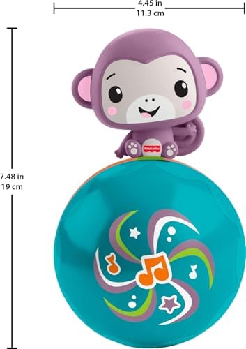 Fisher-Price Brinquedo Baby: Macaco Roxo Musical para Engatinhar, Atividade Estimulante para Bebês a partir de 9 Meses, JLB95