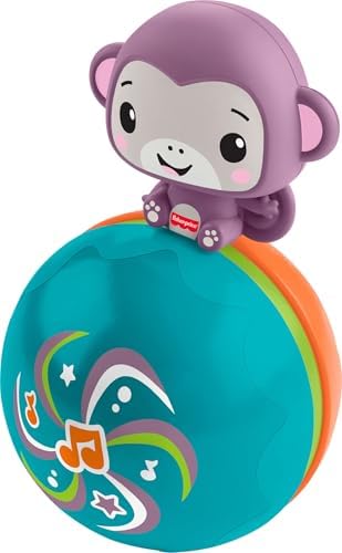 Fisher-Price Brinquedo Baby: Macaco Roxo Musical para Engatinhar, Atividade Estimulante para Bebês a partir de 9 Meses, JLB95