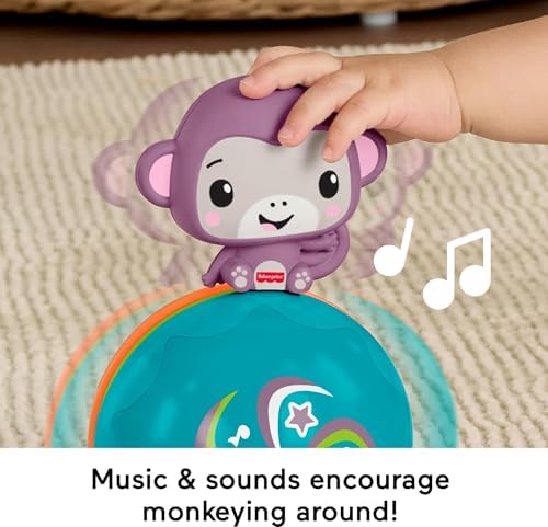 Fisher-Price Brinquedo Baby: Macaco Roxo Musical para Engatinhar, Atividade Estimulante para Bebês a partir de 9 Meses, JLB95