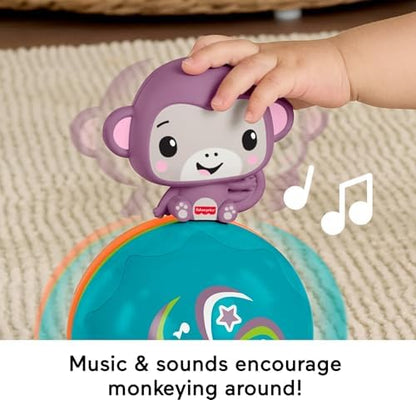 Fisher-Price Brinquedo Baby: Macaco Roxo Musical para Engatinhar, Atividade Estimulante para Bebês a partir de 9 Meses, JLB95