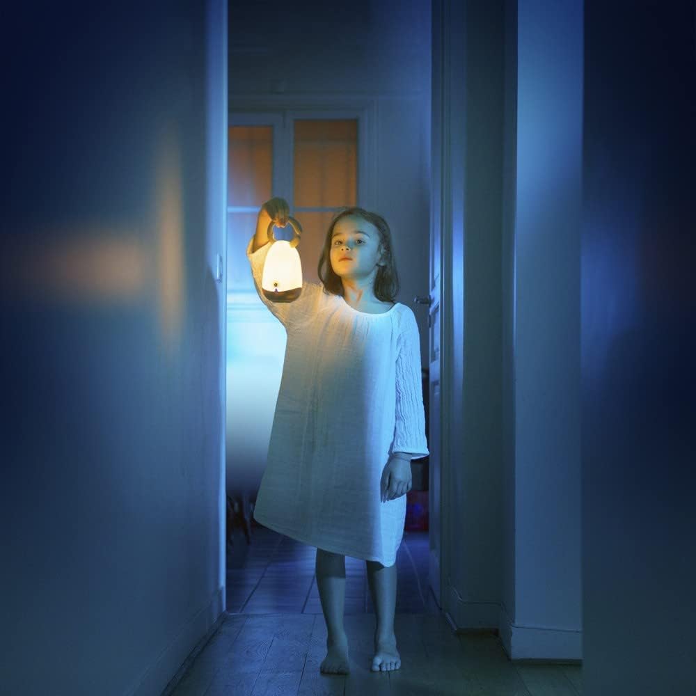 Pabobo Night Light Latern para crianças em cinza