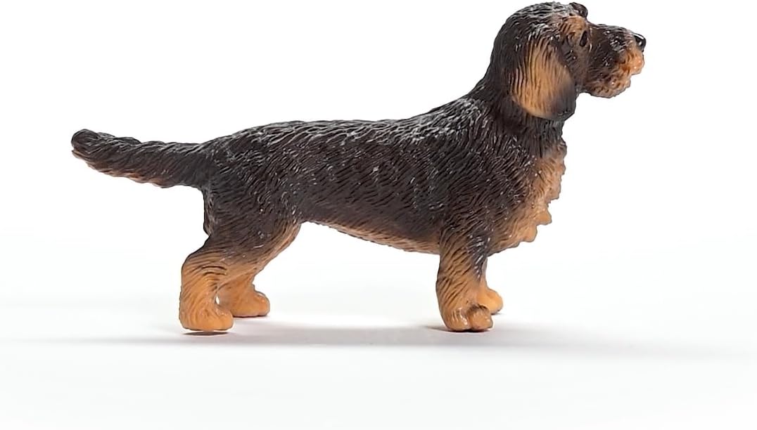 Schleich 13972 FARM WORLD Boneco Dachshund de Pelo Duro para maiores de 3 anos, Preto