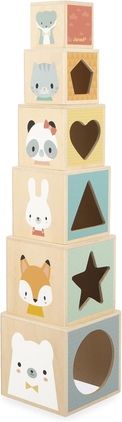 Janod - Minha primeira pirâmide de madeira - Brinquedo de aprendizagem precoce - 6 cubos empilháveis - Brinquedo de empilhar e encaixar - Desenvolve destreza e imaginação - Primeira idade - A partir de 12 meses, J05147