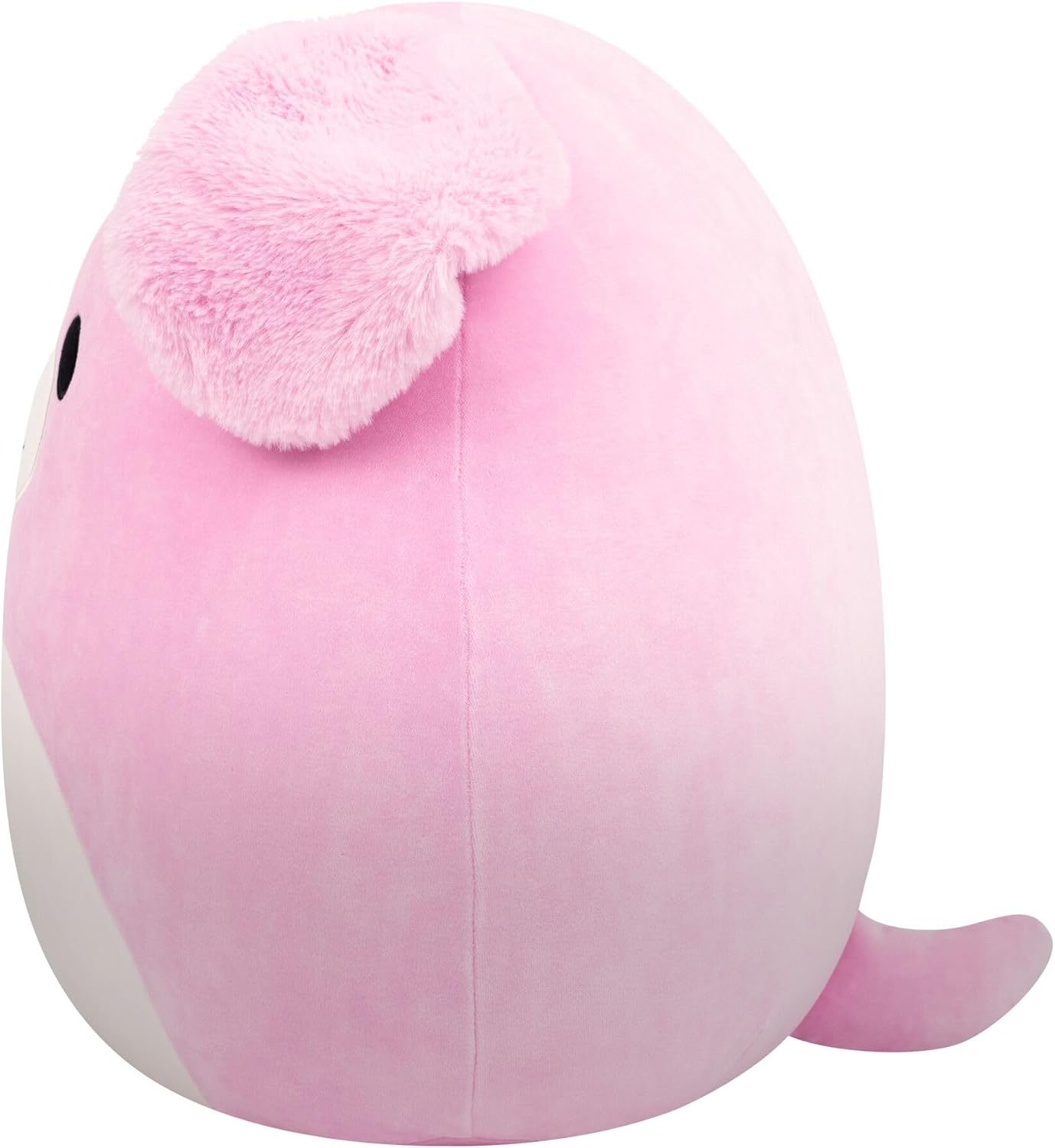 Squishmallows Original de 16 Polegadas Peggy Sue, a Golden Retriever Rosa – Pelúcia Oficial da Jazwares