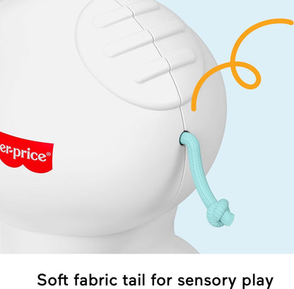 Brinquedo Fisher-Price Baby: Urso Polar Engatinhando, Veículo de Atividades com Tema Animal e Detalhes Sensoriais para Bebês a partir de 9 Meses, JDL63