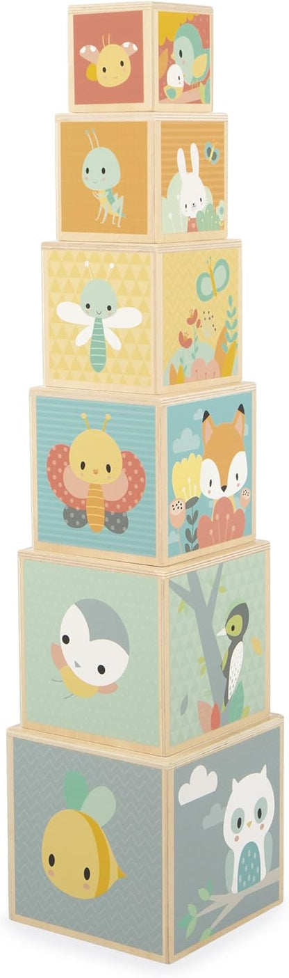 Janod - Minha primeira pirâmide de madeira - Brinquedo de aprendizagem precoce - 6 cubos empilháveis - Brinquedo de empilhar e encaixar - Desenvolve destreza e imaginação - Primeira idade - A partir de 12 meses, J05147
