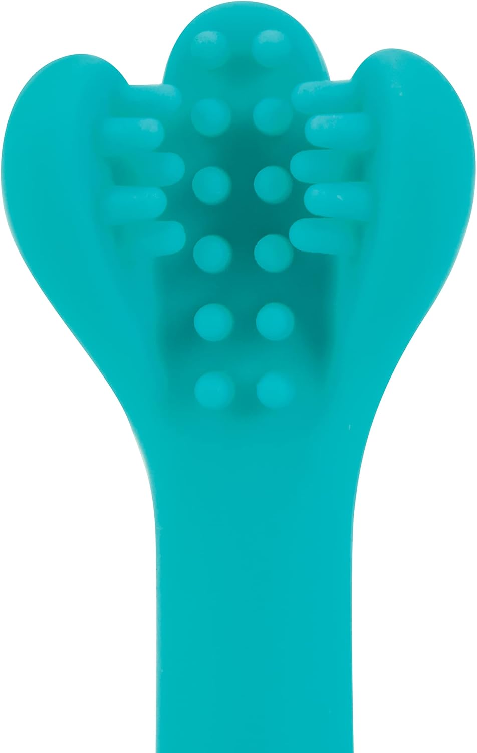 Dr. Talbot Conjunto de escova de dentes para bebês 2 peças, 6+M, sem BPA