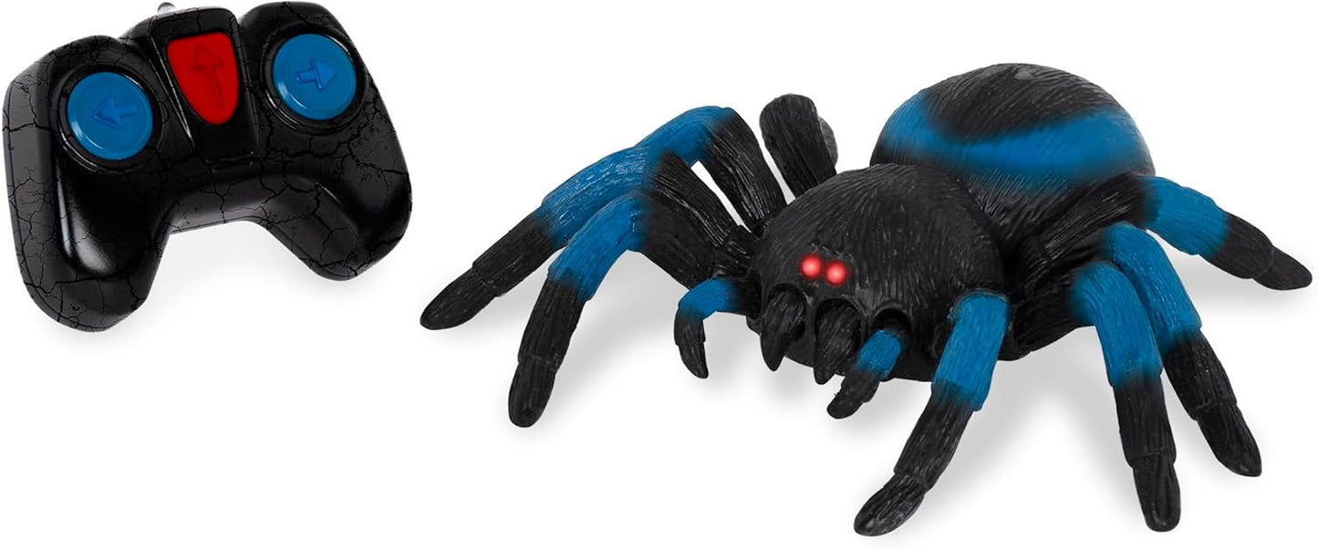 Terra by Battat – Tarântula de Controle Remoto para Crianças com Olhos de LED – Brinquedo de Aranha Realista com Pernas Móveis, Alta Velocidade e Giro de 360° – Animal Azul de Controle Remoto para Meninos e Meninas a partir de 6 Anos