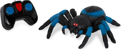 Terra by Battat – Tarântula de Controle Remoto para Crianças com Olhos de LED – Brinquedo de Aranha Realista com Pernas Móveis, Alta Velocidade e Giro de 360° – Animal Azul de Controle Remoto para Meninos e Meninas a partir de 6 Anos