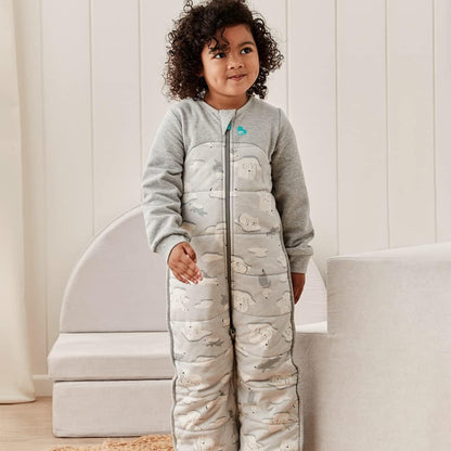 Love To Dream™ Sleep Suit with Legs, 6-12 Months - Grey | Long Sleeve, Lightweight Wearable Blanket & Quilt | 3.5 Tog Ideal for Winter & Autumn (14–16°C) | Machine Washable Cotton & Double Zip
