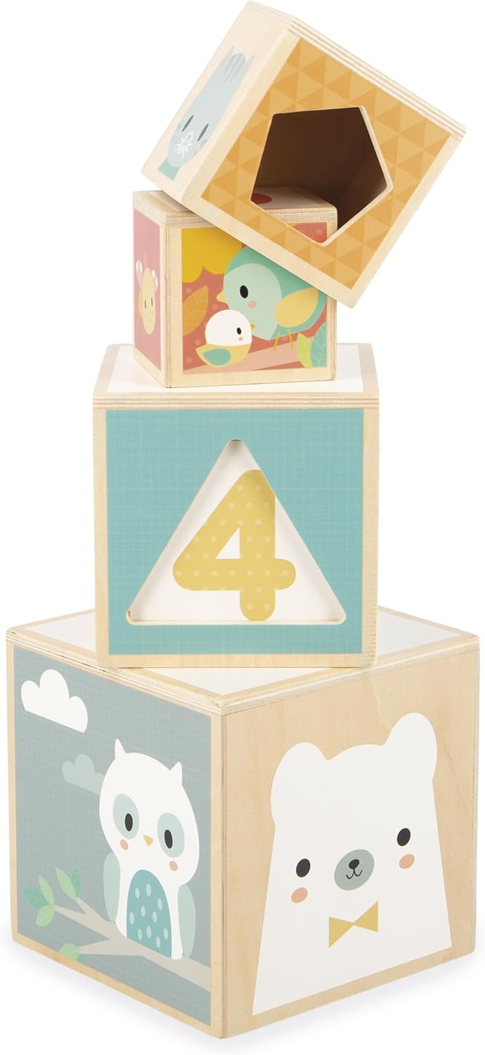 Janod - Minha primeira pirâmide de madeira - Brinquedo de aprendizagem precoce - 6 cubos empilháveis - Brinquedo de empilhar e encaixar - Desenvolve destreza e imaginação - Primeira idade - A partir de 12 meses, J05147