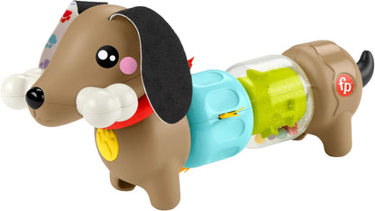Brinquedo sensorial para bebês Fisher-Price FP Pets Click & Spin, cachorrinho com atividades de coordenação motora fina para bebês a partir de 6 meses, HTW91