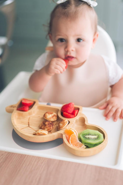 Juego de cuchara y plato de succión de bambú Moon and Moo Turtle para niños, niños pequeños y destete del bebé - No tóxico - Sin plástico - Permanece en su lugar - Plato de succión para bebé - Juego de destete para bebé (gris)