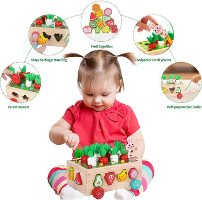 ANTIC DUCK  Brinquedos de madeira montessori, brinquedos de classificação de formatos, presentes para bebês, meninos, meninas, 2, 3, 4 anos de idade