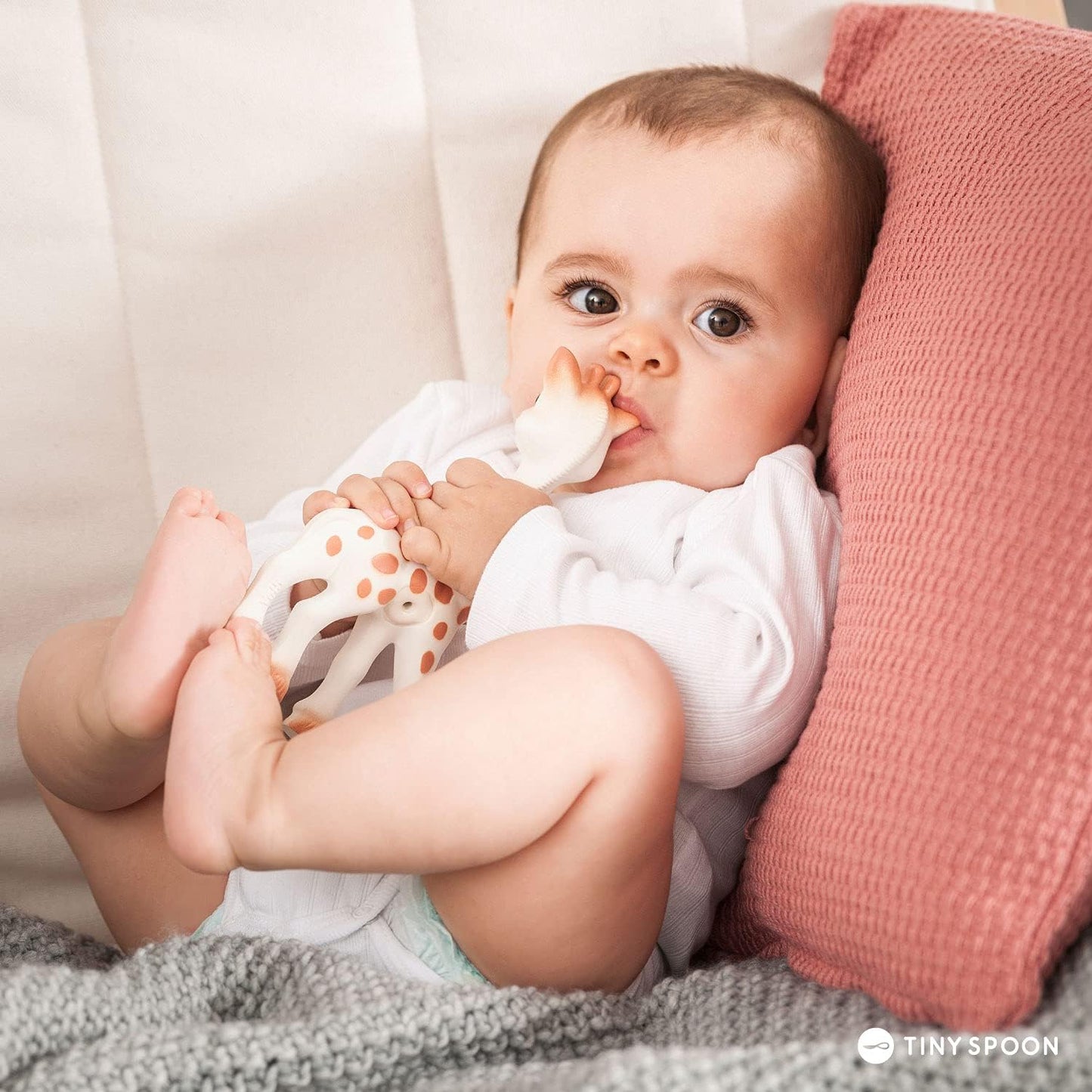 Sophie The Giraffe x Conjunto GCF (Fundação para a Conservação da Girafa)