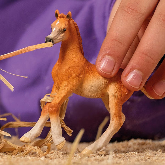 Schleich 13984 HORSE CLUB Estatueta de potro árabe para maiores de 5 anos, preta, Hellbraun