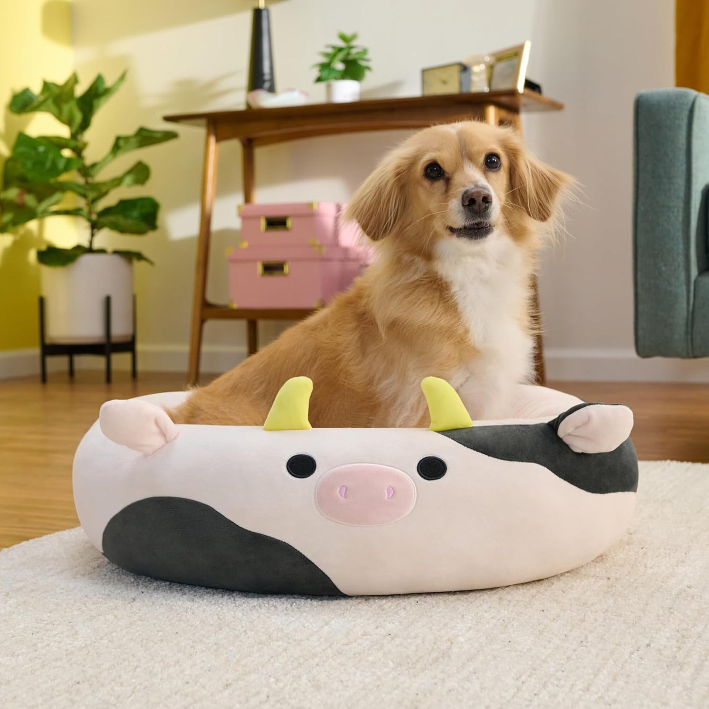 Squishmallows Original 20 Polegadas Connor a Vaca Cama para Animais de Estimação - Pequena Cama Ultrasoft Oficial Jazwares Pelúcia para Animais de Estimação