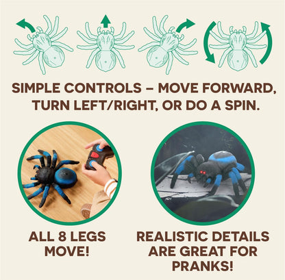Terra by Battat – Tarântula de Controle Remoto para Crianças com Olhos de LED – Brinquedo de Aranha Realista com Pernas Móveis, Alta Velocidade e Giro de 360° – Animal Azul de Controle Remoto para Meninos e Meninas a partir de 6 Anos