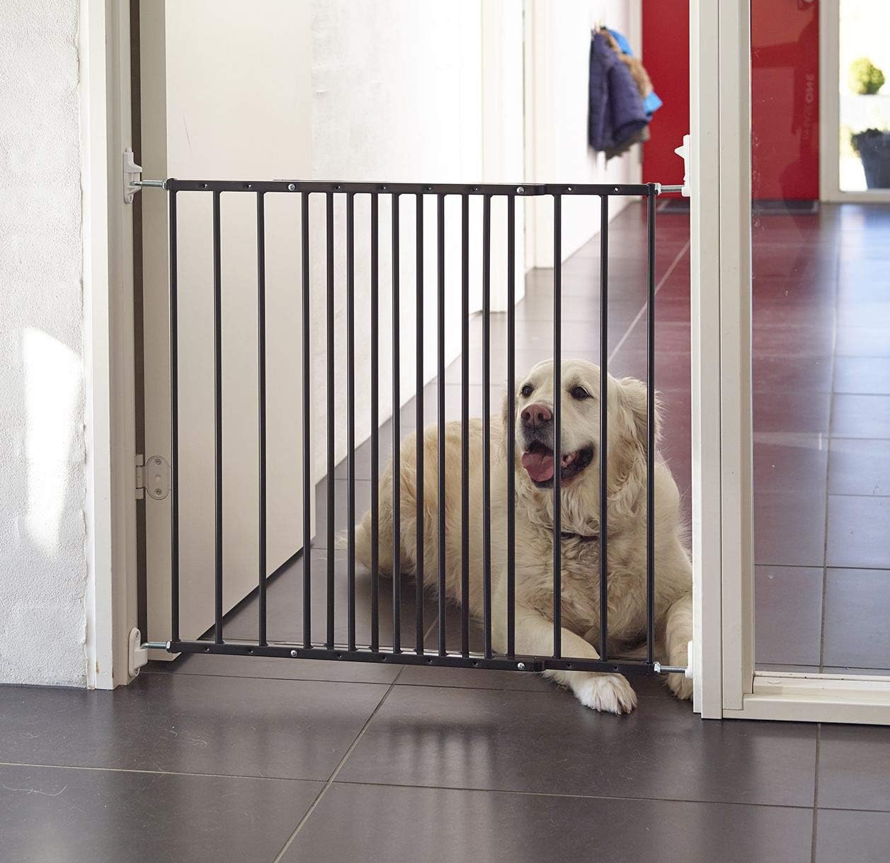 BabyDan Scandinavian Pet Design Puerta extensible para perros extra alta, 62,5-106,8 cm/24,6-42 pulgadas de ancho, 103 cm/40,5 pulgadas de altura, puerta extensible para perros