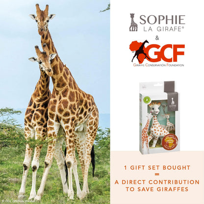 Sophie The Giraffe x Conjunto GCF (Fundação para a Conservação da Girafa)