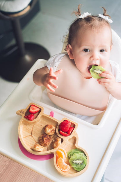 Juego de cuchara y plato de succión de bambú Moon and Moo Turtle para niños, niños pequeños y destete del bebé - No tóxico - Sin plástico - Permanece en su lugar - Plato de succión para bebé - Juego de destete para bebé (gris)