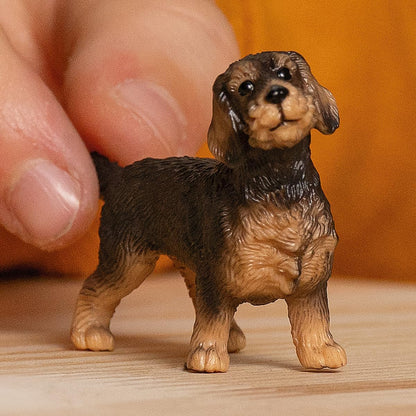 Schleich 13972 FARM WORLD Boneco Dachshund de Pelo Duro para maiores de 3 anos, Preto