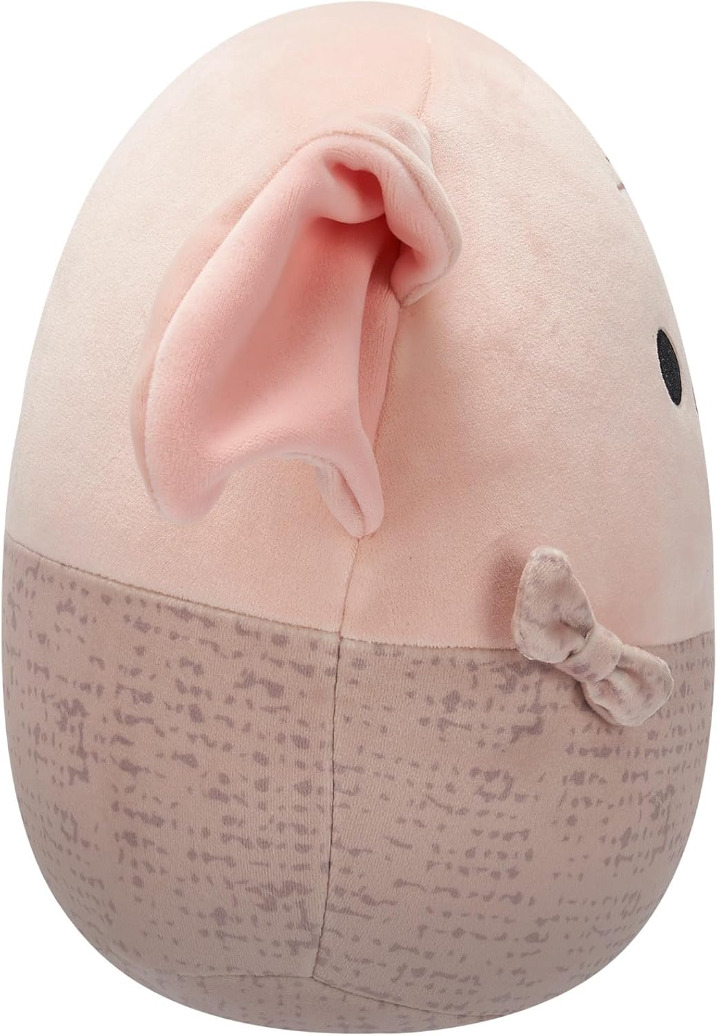 Brinquedos Squishmallows SQWB00150, multicoloridos